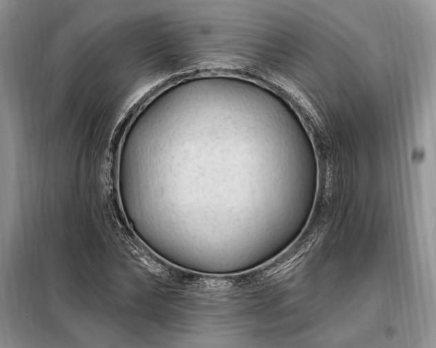X0000098200878200805011144