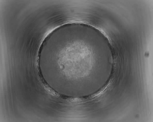 X0000098200879200805011144