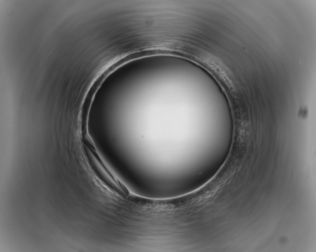 X0000098200884200805011144