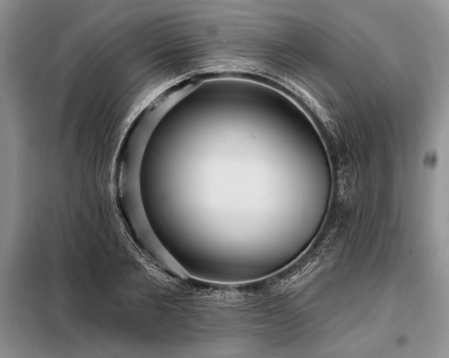 X0000098200885200805011144