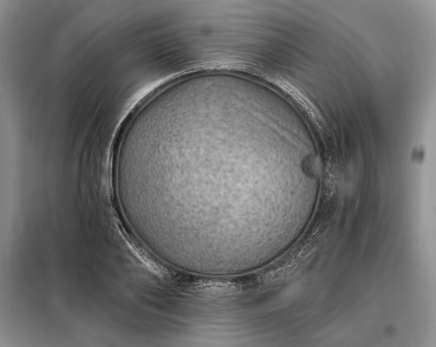 X0000098200886200805011144
