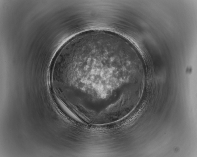 X0000098200887200805011144