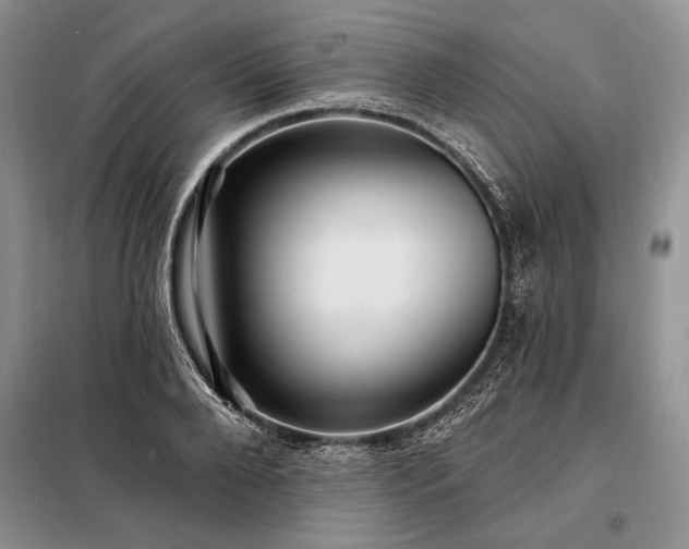 X0000098200888200805011144