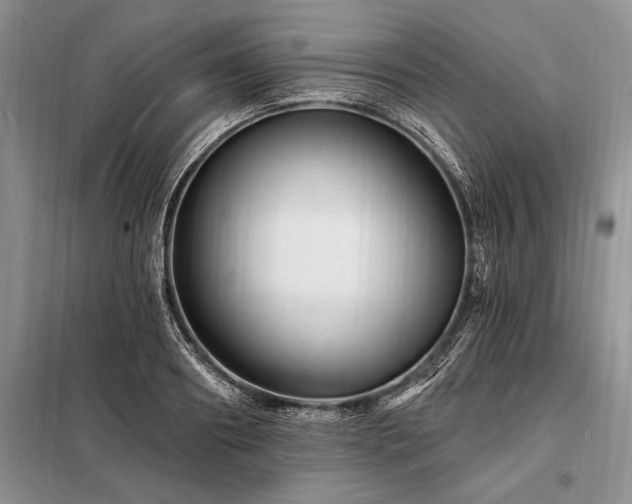X0000098200890200805011144