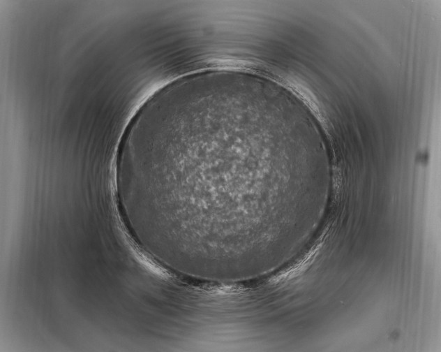 X0000098200891200805011144