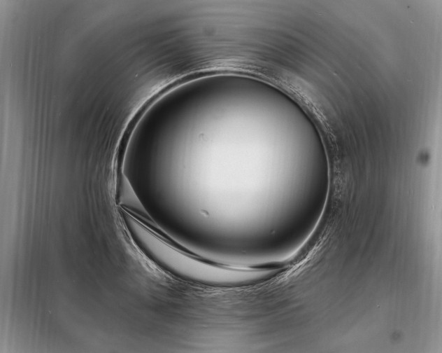 X0000098200892200805011144