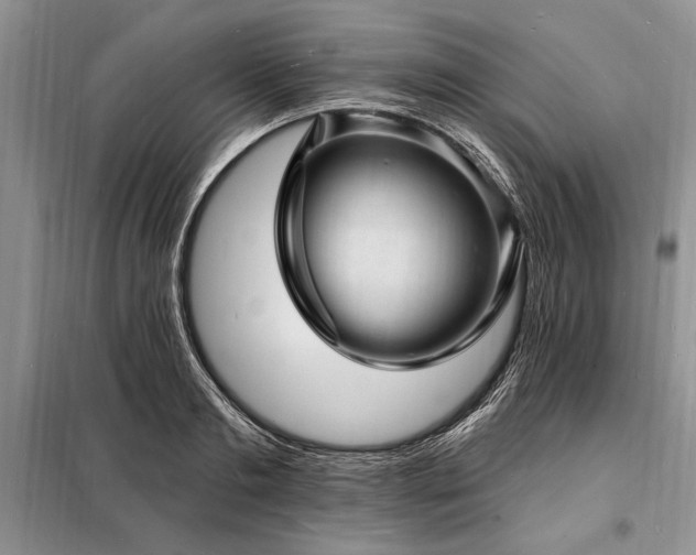 X0000098200893200805011144