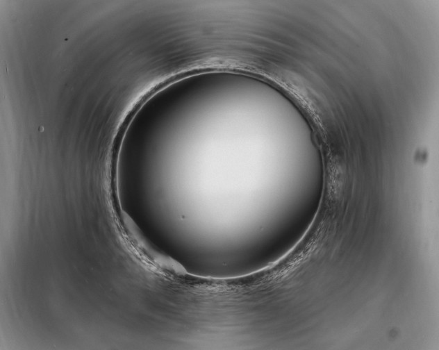 X0000098200896200805011144