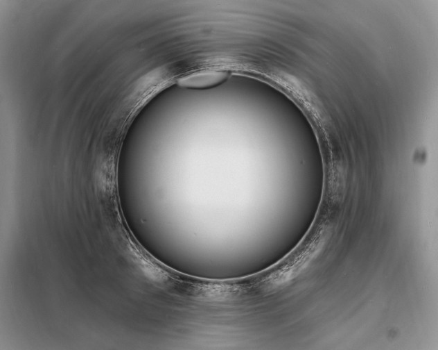 X0000098200897200805011144