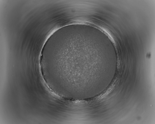 X0000098200899200805011144