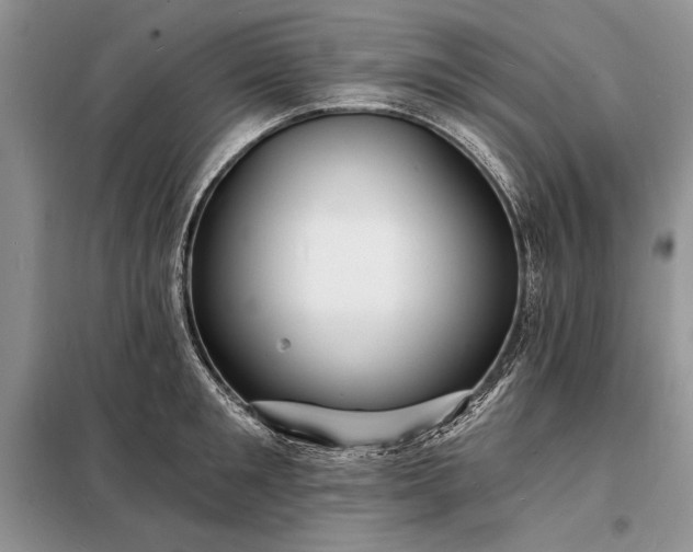 X0000098200901200805011144