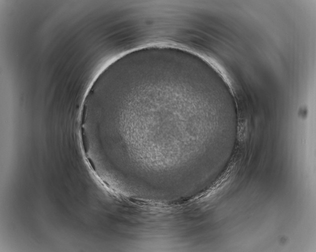 X0000098200903200805011144