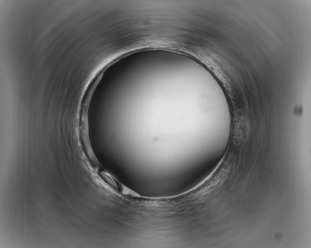 X0000098200904200805011144