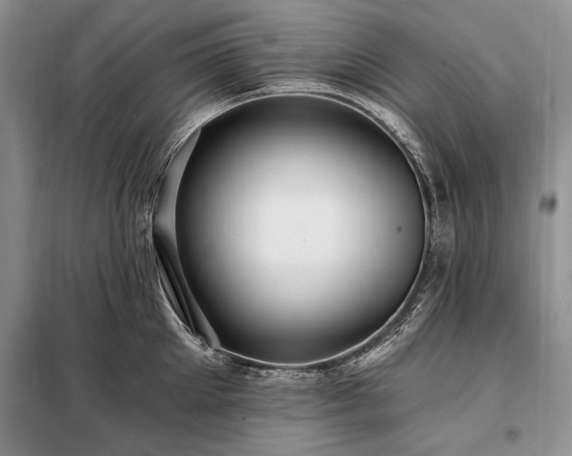 X0000098200905200805011144