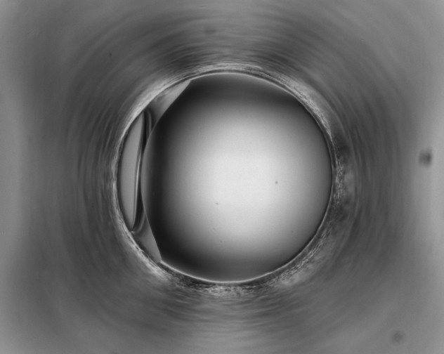 X0000098200906200805011144