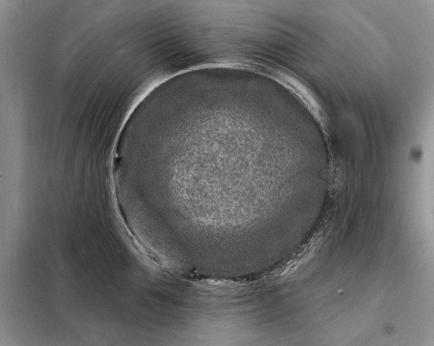 X0000098200907200805011144
