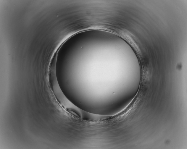X0000098200908200805011144