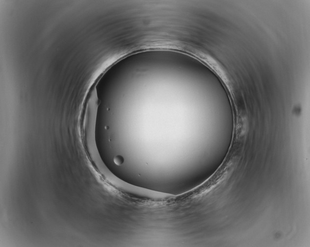 X0000098200909200805011144