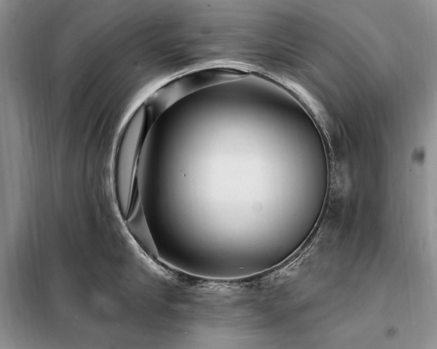 X0000098200910200805011144