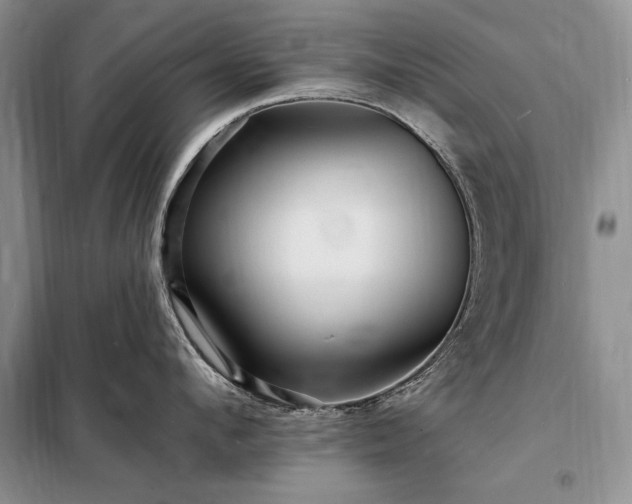 X0000098200912200805011144
