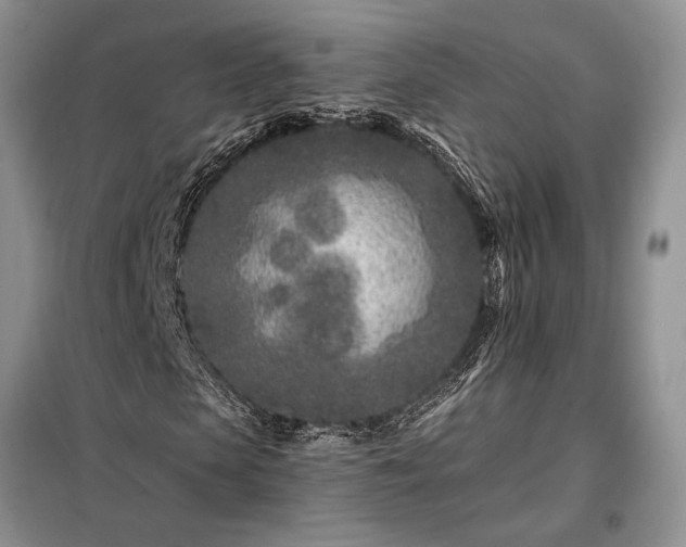 X0000098200913200805011143