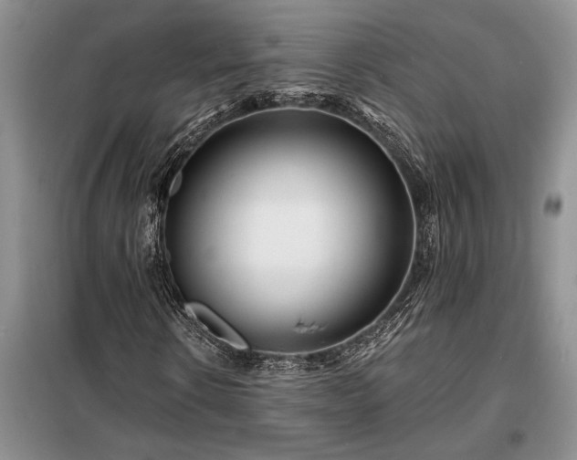 X0000098200914200805011143