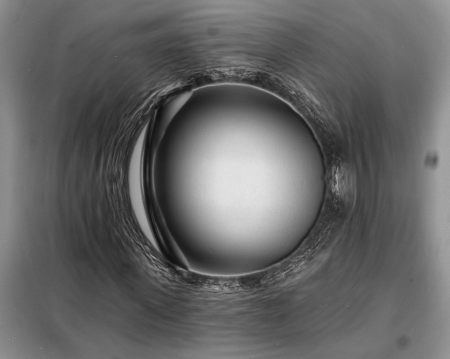 X0000098200915200805011143