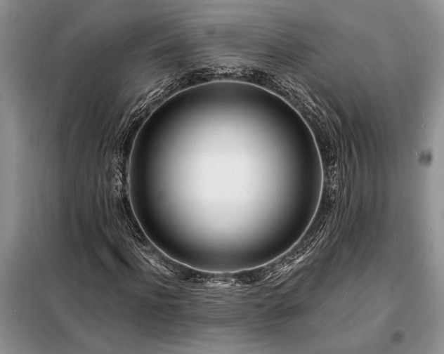 X0000098200916200805011143