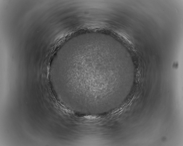 X0000098200917200805011143