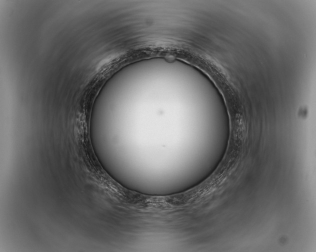 X0000098200918200805011143