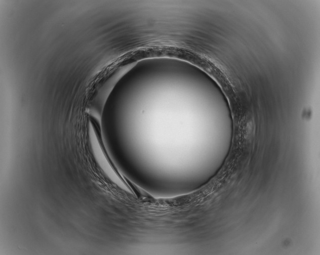 X0000098200919200805011143