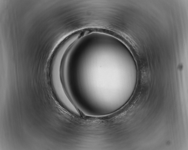 X0000098200926200805011143