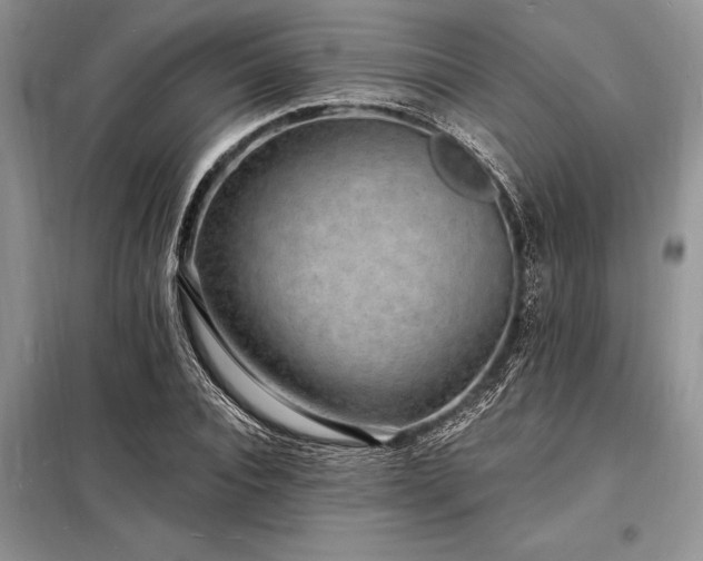 X0000098200928200805011143