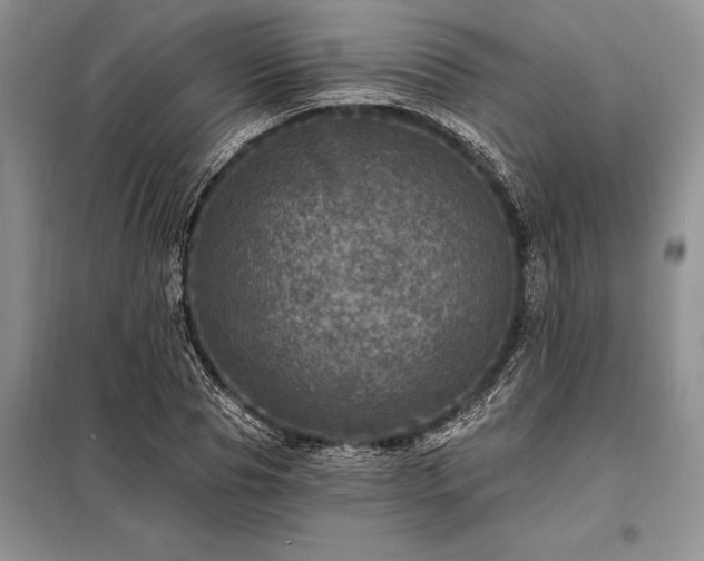 X0000098200929200805011143