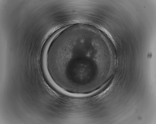 X0000098200930200805011143