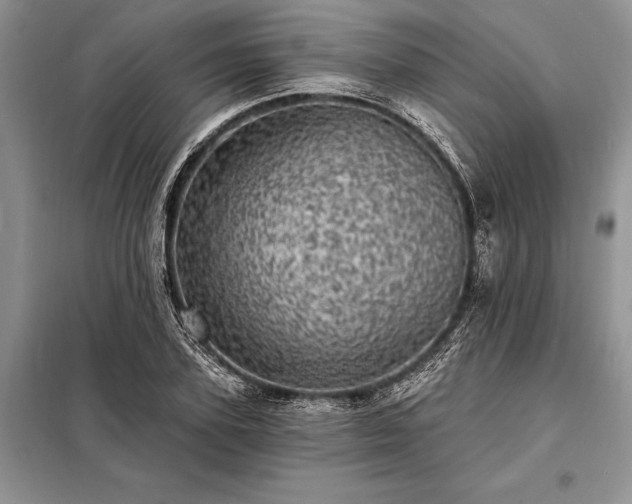 X0000098200931200805011143