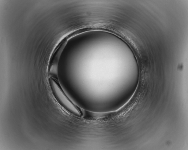 X0000098200932200805011143