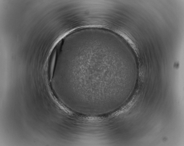 X0000098200933200805011143