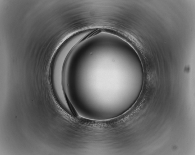 X0000098200934200805011143