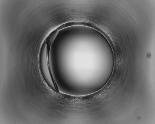 X0000098200935200805011143