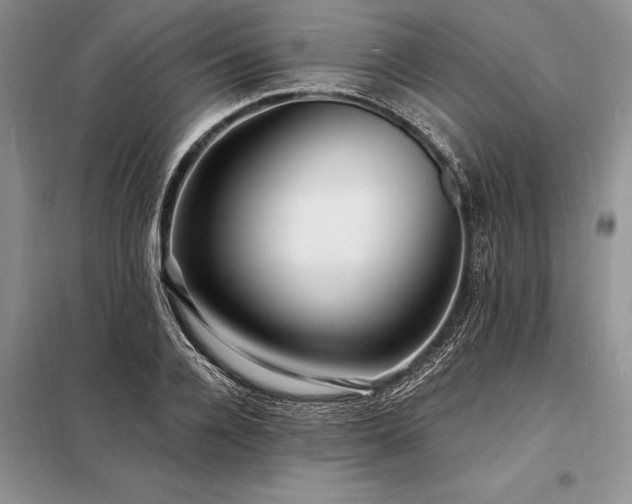 X0000098200936200805011143