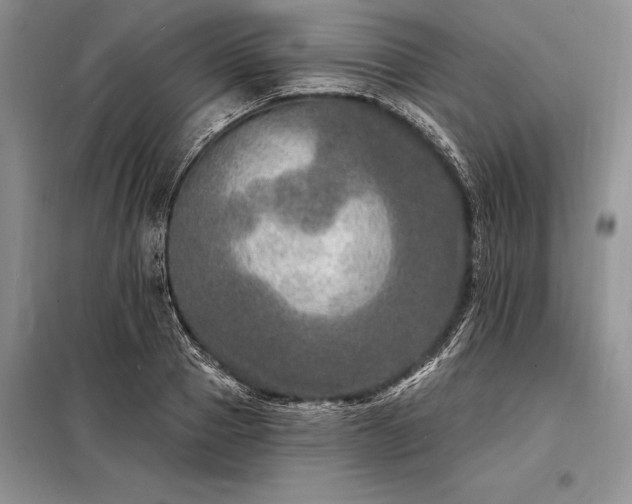 X0000098200937200805011143