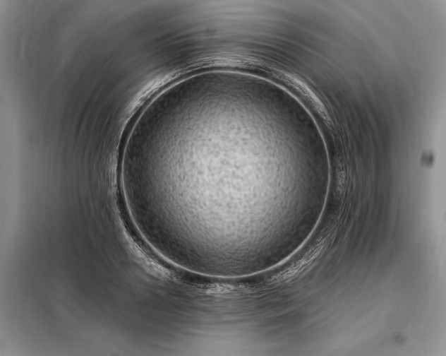 X0000098200938200805011143
