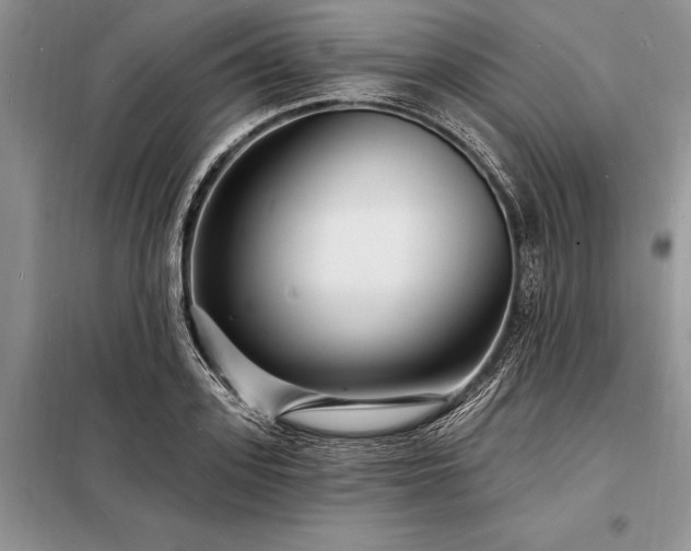 X0000098200939200805011143