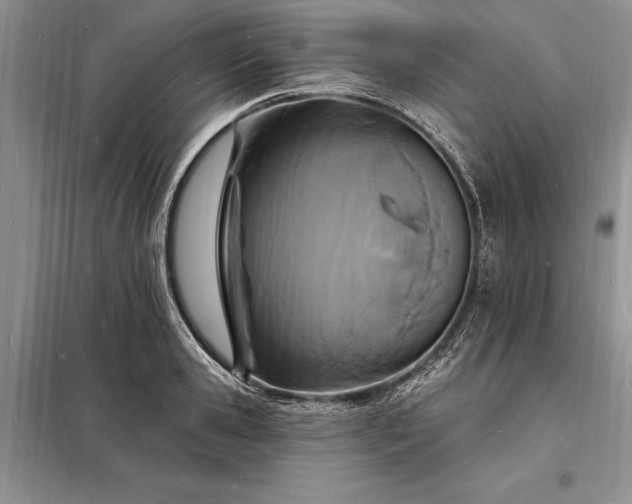 X0000098200941200805011143