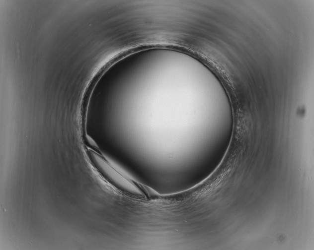 X0000098200942200805011143