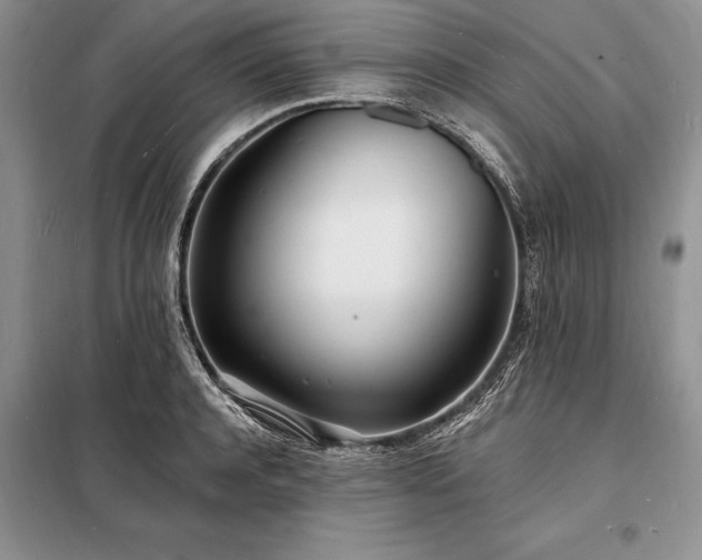 X0000098200944200805011143