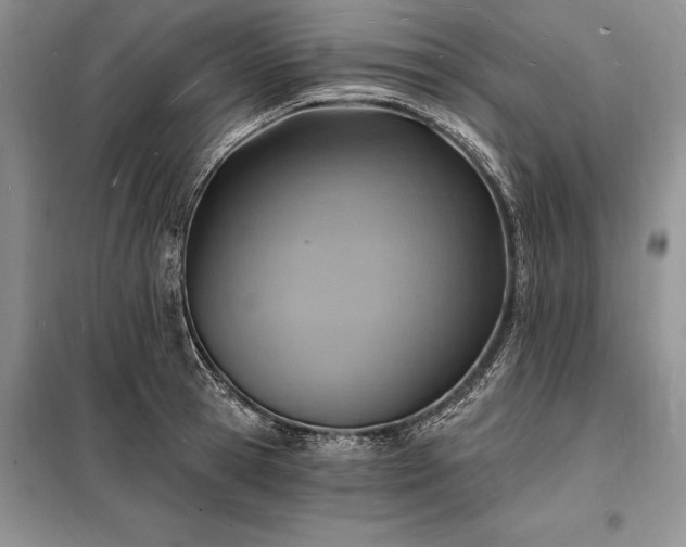 X0000098200945200805011143