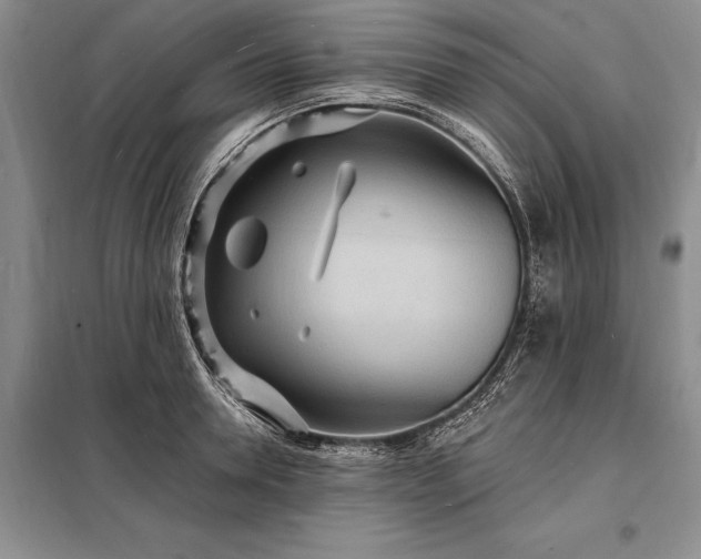 X0000098200946200805011143