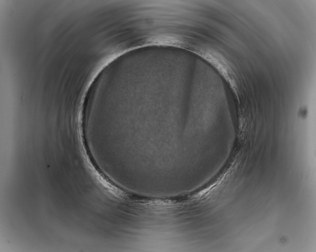 X0000098200947200805011143